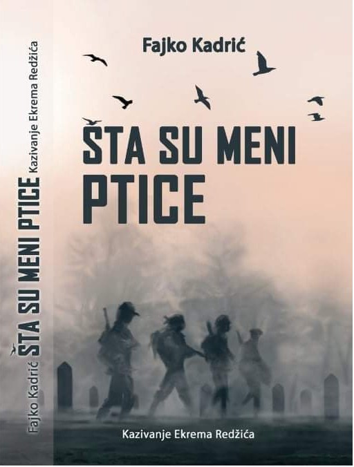 Naslovnica knjige Šta su meni ptice